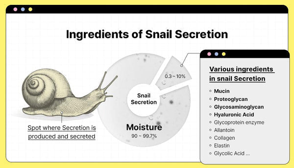 Why COSRX Snail Mucin is a K-Beauty Must-Have | Korean Skincare UAE